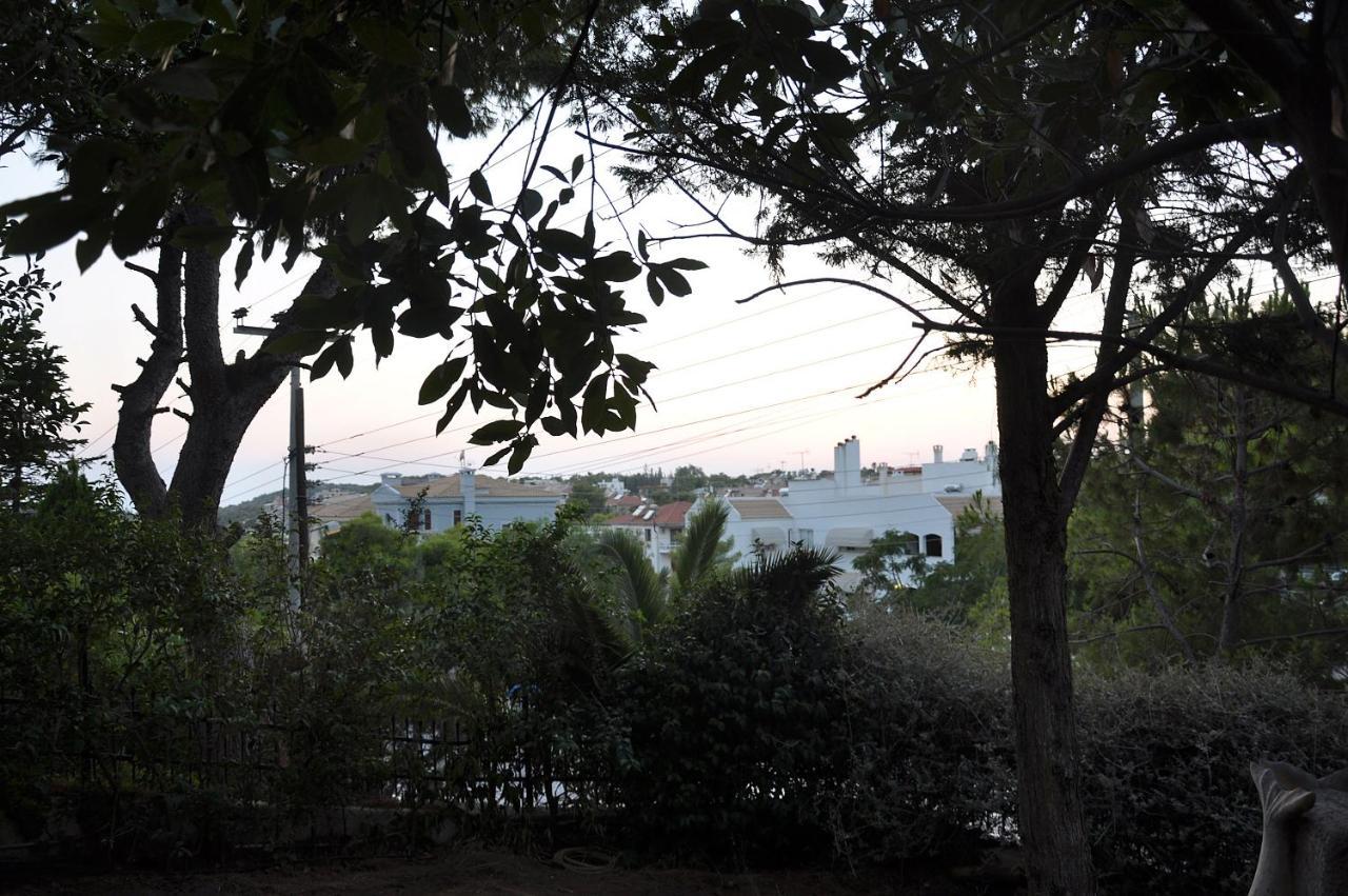 Vouliagméni Jootiq Loft 아파트 외부 사진
